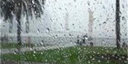 أمطار غزيرة ورياح مثيرة للأتربة.. الأرصاد تحذر من تقلبات مفاجئة في طقس الإثنين