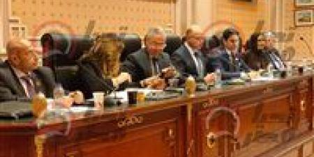 اقتصادية الشيوخ تناقش الأثر التشريعي لقانون الاستثمار.. وتعديلات مرتقبة لتعزيز جذب المستثمرين