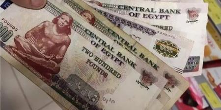 كيف تنظم الدولة صرف معاشات 11.5 مليون مواطن؟