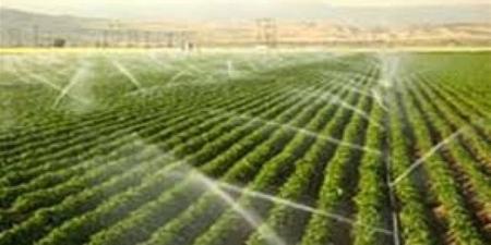 شراكة استراتيجية شاملة.. مصر والاتحاد الأوروبي يعيدان صياغة الزراعة