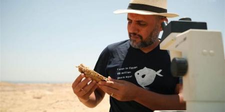 هشام سلام لـ"الدستور": اكتشاف جديد في الطريق سيعيد رسم خريطة الحفريات بمصر