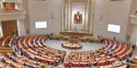 البرلمان يعقد أول جلسة استماع للتصدي لملف الأسرة المصرية.. اليوم