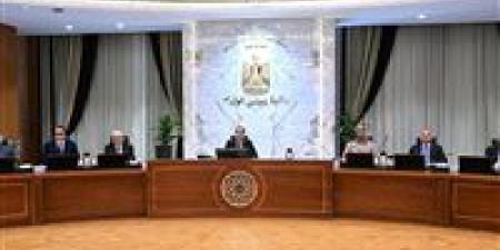 رئيس الوزراء: الدولة ماضية في خططها الرامية لتوفير كل المُقومات لتوطين مختلف الصناعات