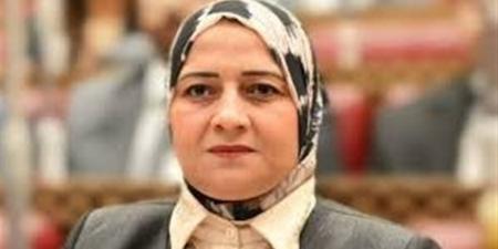 برلمانية: اختيار مصر مقرًا دائمًا لمشغل سوق الكهرباء بشرق أفريقيا يعكس الثقة الدولية