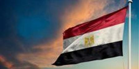 مساعد وزير الخارجية: قانون فرنسا لإعادة الآثار المهربة خطوة إيجابية تجاه أفريقيا