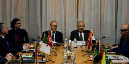 أبو الغيط يترأس اجتماع مجلس إدارة الصندوق العربي للمعونة الفنية.. ويشدد على دعم الحضور العربي بالقارة