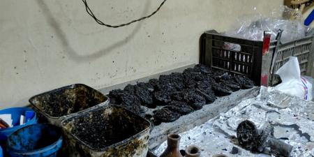 محافظة الجيزة تنظم حملات على المحال العامة التي تمارس نشاطًا سياحيًا بالطالبية للتأكد من استيفاء الاشتراطات اللازمة