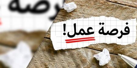 2554 فرصة عمل جديدة متاحة للشباب.. موعد وطريقة التقديم