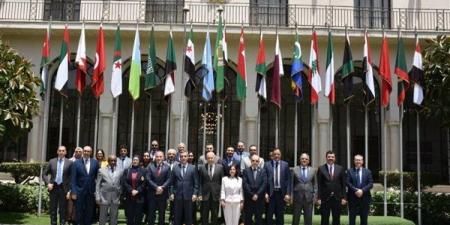 أبو الغيط يترأس اجتماع مجلس إدارة الصندوق العربي للمعونة الفنية للدول الإفريقية