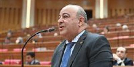 مجدي مرشد : مشاركة الرئيس السيسي في قمة فرنسا - أفريقيا تعكس المكانة الكبيرة التي تحظى بها مصر داخل القارة الأفريقية