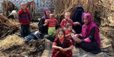 26.9 مليون أسرة في مصر.. والإحصاء: الريف يستحوذ على نسبة السكان الأكبر