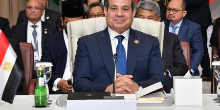 "عربية النواب": مصر في عهد الرئيس السيسي تتمتع بمكانة محورية داخل القارة الإفريقية