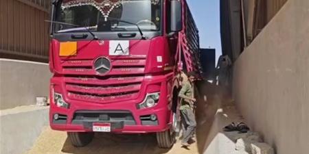 "تموين مطروح": انتظام استلام الأقماح وتوريد 5698 طنا حتى الآن