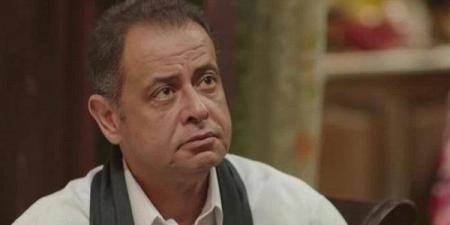 محمد غنيم: 3 مليارات جنيه تُنفق سنويًا على إطعام الكلاب الضالة