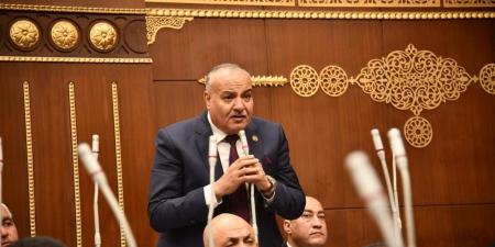 محمد نوح: "الدلتا الجديدة" خطوة استراتيجية لتعزيز الأمن الغذائي والتنمية الشاملة
