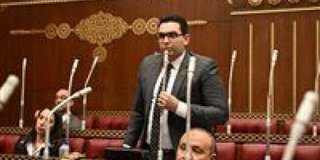 نائب بالشيوخ يطالب بإنشاء مركز ثقافي متكامل بالقاهرة الجديدة