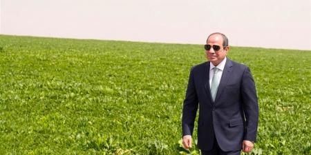 علي إسماعيل: "الدلتا الجديدة" مشروع استراتيجي لمواجهة تحديات الغذاء والمياه