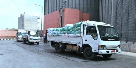معدلات متزايدة في توريد القمح المحلي بالبحيرة