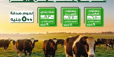 هل يجوز شراء الأضحية بالتقسيط؟ الحكم الشرعي قبل عيد الأضحى 2026