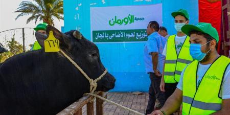التضامن والأورمان يوزعان 10عجول و5 الاف كيلو لحوم فى عيد الاضحى بمطروح