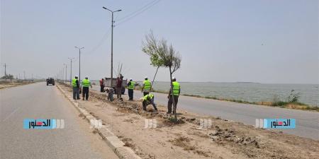 "برلس بلا بلاستيك".. إطلاق حملة تشجير وتوعية بيئية بـ "بلطيم" في كفر الشيخ