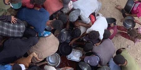 عاجل.. الميزان لحقوق الإنسان: قوات الاحتلال الإسرائيلي تستهدف مطبخ لتوزيع الطعام بغزة