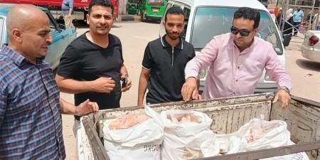 بحملة رقابية بالباجور.. ضبط ربع طن دواجن ولحوم فاسدة قبل طرحها بالأسواق