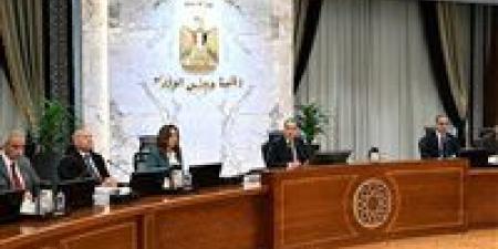 رئيس الوزراء يشدد على ضرورة مُواجهة ظاهرة انتشار «الكلاب الضالة»