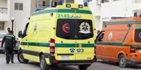 خلافات زوجية.. مقتل زوجة على يد زوجها بقرية الكوم الأخضر في المنوفية