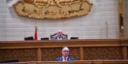 «النواب» يوافق على منحة بـ400 ألف دولار لتطوير منظومة معالجة الصرف الصحي بمحطة أبو رواش