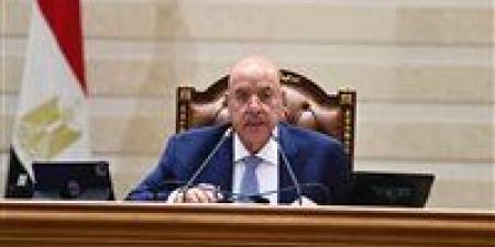 رئيس مجلس النواب يحيل مشروعي قانوني الرعاية البديلة والأسرة المصرية إلى اللجان المختصة