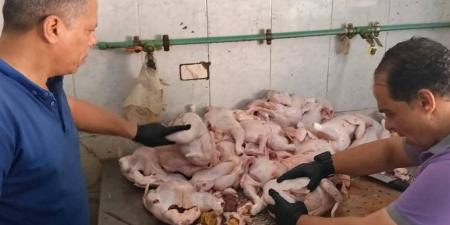 ضبط 346 كجم لحوم وأسماك غير صالحة وتحرير 25 محضرًا بالغربية