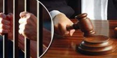 “اللجان الإدارية بالتجمع”.. 12 متهمًا أمام الجنايات في 9 أغسطس