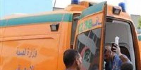 عرض المتهم بقتل والدته بالشرقية على الطب الشرعي