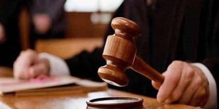 تأجيل محاكمة 64 متهماً في قضية "خلية القاهرة الجديدة" إلى 9 أغسطس