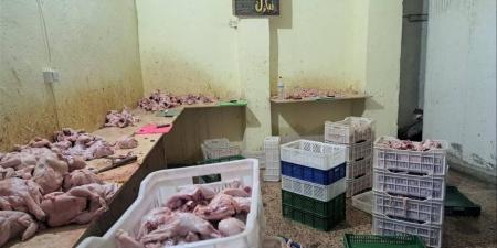 غلق 10 منشآت مخالفة وإعدام 56 كيلو دواجن فاسدة خلال حملات شرق الإسكندرية
