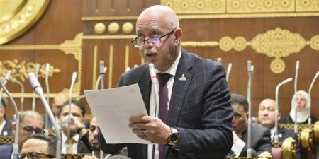 حازم الجندي: كلمة الرئيس في يوم أفريقيا ترسم مرحلة جديدة من البناء والتنمية المستدامة