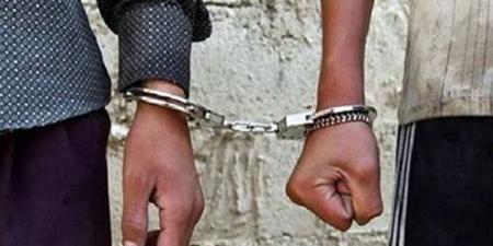 ضبط عامل وسائق في الفيوم بتهمة الإساءة لمواطني إحدى المحافظات