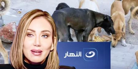 قناة النهار تحذف حلقات ريهام سعيد عن كلاب الشوارع.. (تفاصيل)