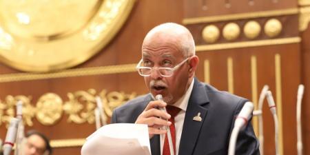 النائب حازم الجندي: كلمة الرئيس السيسي في يوم أفريقيا ترسم مرحلة جديدة من البناء والتنمية المستدامة