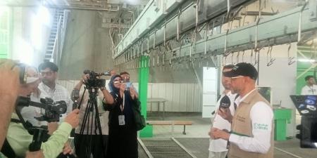 مليون رأس من الأغنام.. هدى وأضاحى الحجاج هذا العام