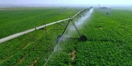 توشكى الخير.. دلتا زراعية جديدة تعيد رسم خريطة التنمية في جنوب مصر