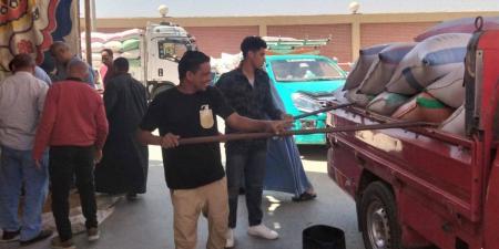 توريد 206 ألف طن من القمح بصوامع الفيوم