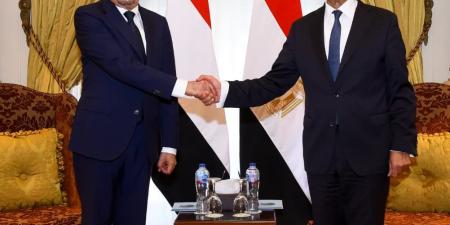 «الحوار الاستراتيجي المصري اليمني».. توافق حاسم على رفض عسكرة البحر الأحمر وحماية الملاحة