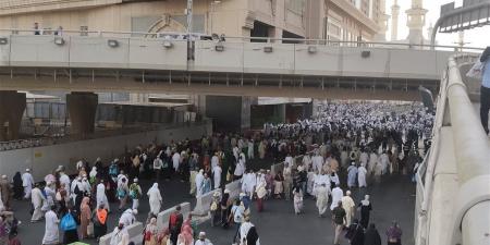 24 لجنة ميدانية لخدمة أكثر من 40 ألف حاج مصري بالمشاعر المقدسة