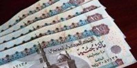زيادة المعاشات 2026.. موعد التطبيق والنسبة المتوقعة