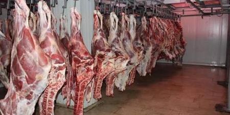 للتيسير على المواطنين.. “الطب البيطري” بالإسكندرية: فتح 3 مجازر لذبح الأضاحي دون رسوم