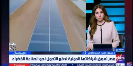 خبير: شراكة مصر مع برنامج الأمم المتحدة الإنمائي تسريع التحول للصناعة الخضراء