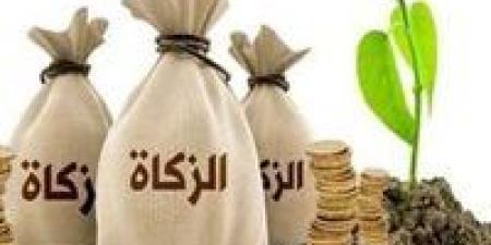 هل يجوز إخراج زكاة المال المتأخرة على أقساط؟.. أمين الفتوى يجيب