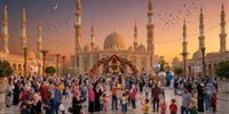عاجل.. التموين ترفع درجة الاستعداد القصوى وتأمين توافر السلع واللحوم بكافة المحافظات